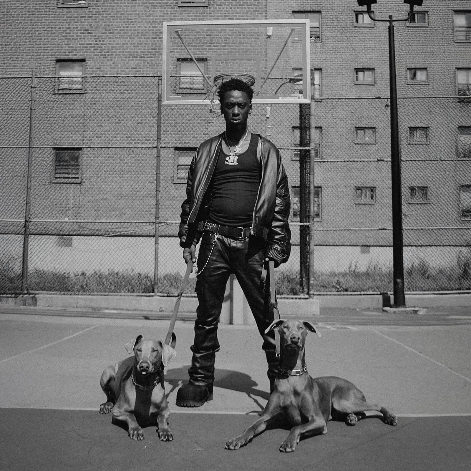 King of the Underdogs